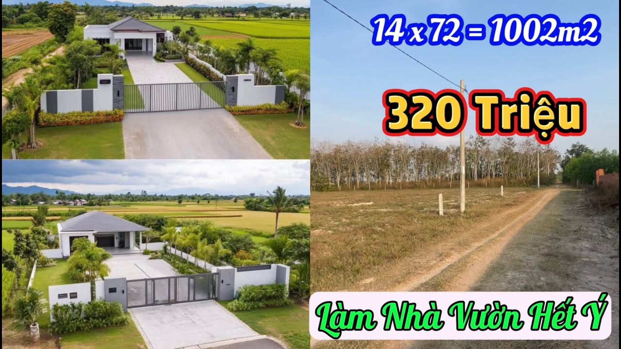View Cực Chill💥 Đất Cực Rộng 13,7 x 72 = 1000m2 Giá Chỉ 320 Triệu Cho Ai Nhanh Tay