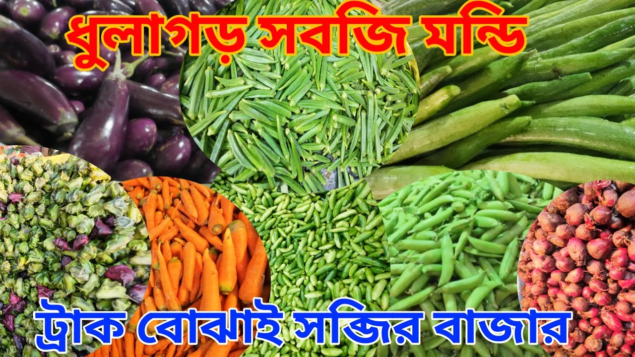 ধুলাগড় সবজি মন্ডিতে সবজি খুবই সস্তা | Dhulagarh Wholesale Vegetable Market | Dhulagarh Sabji Mandi