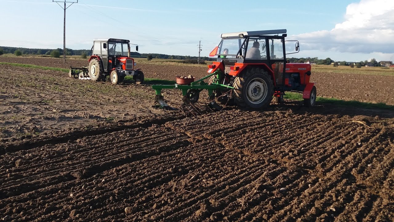 Sezon 2019 na Polskim Gospodarstwie Rolnym | RolnicyPl