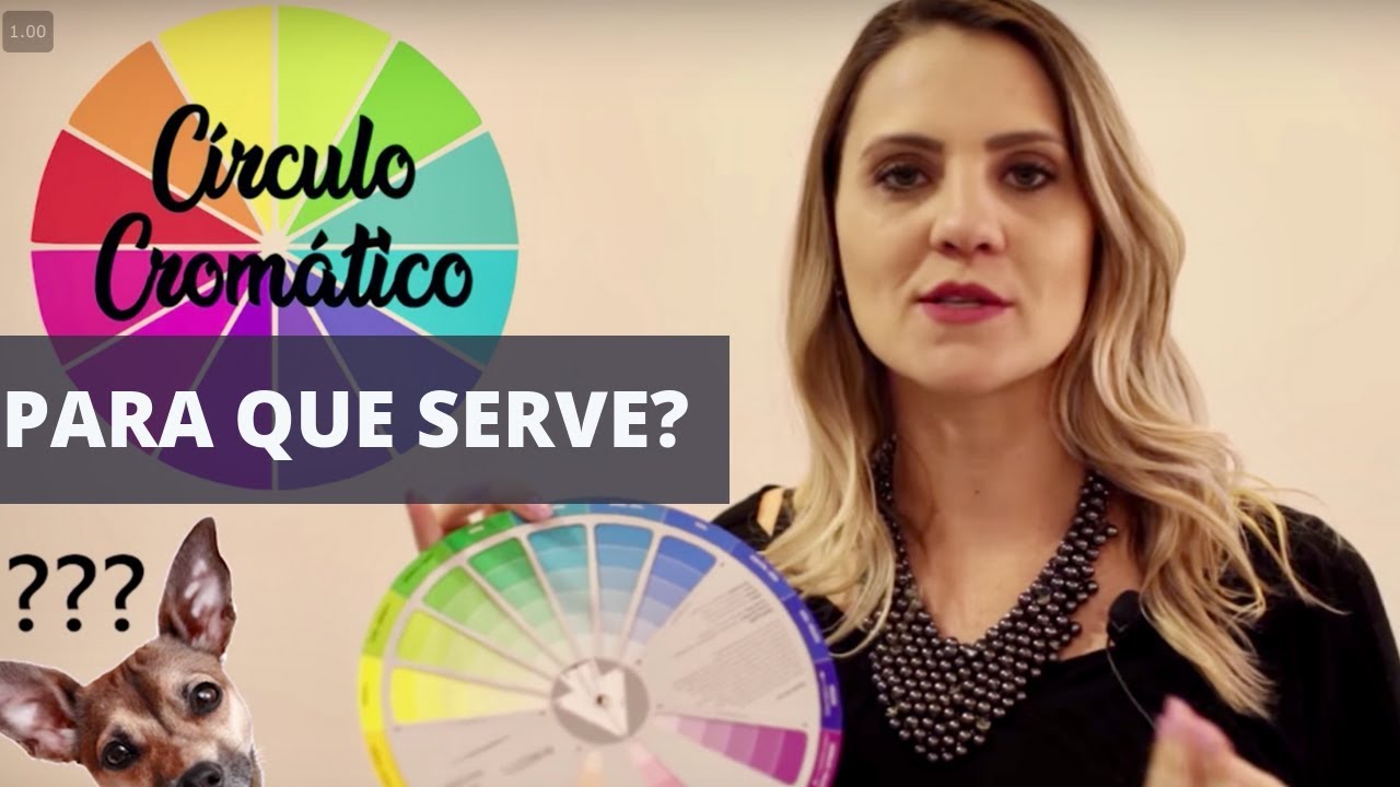 O QUE É E COMO USAR O CÍRCULO CROMÁTICO DE ROUPAS E TECIDOS - ROBERTA PASQUALATTO E MAXIMUS TECIDOS