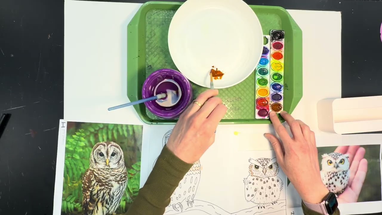 Post Office Unit: Painting Mailbox Designs with Watercolor