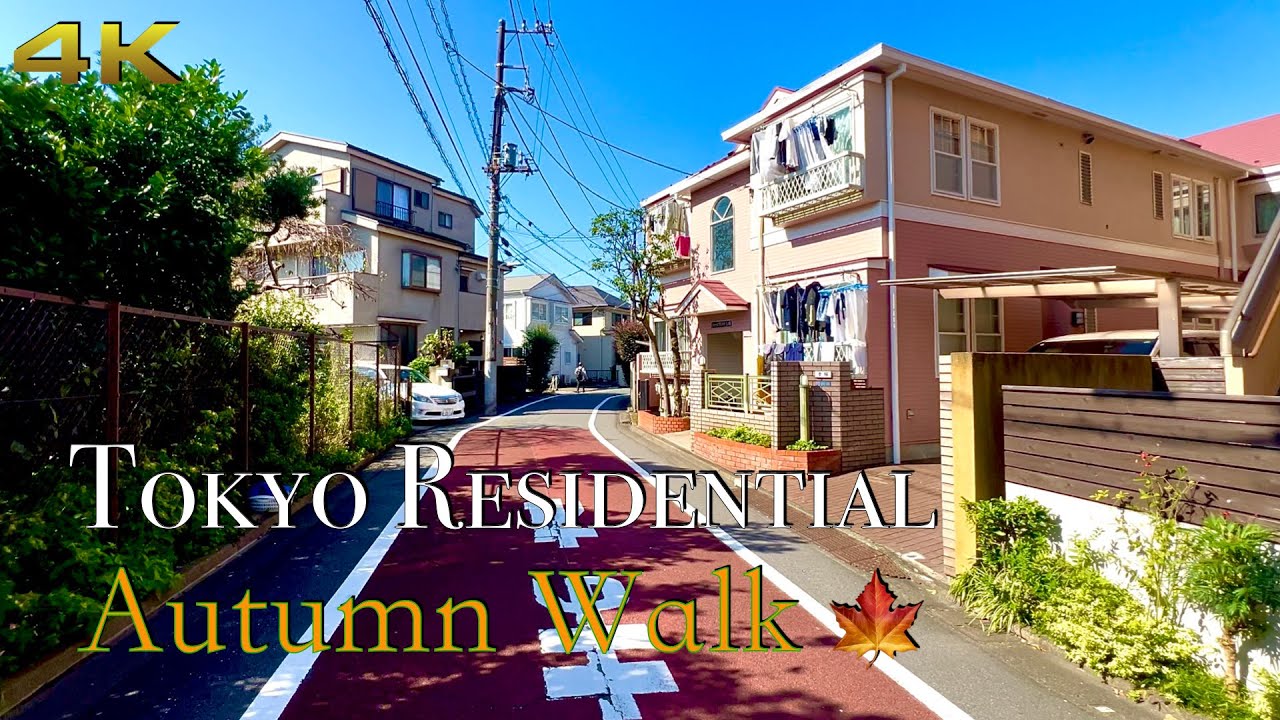 [4K] Tokyo Residential, Autumn Walk. Peaceful & Quiet ☀️🍁🇯🇵 #tokyo #asmr #relaxing