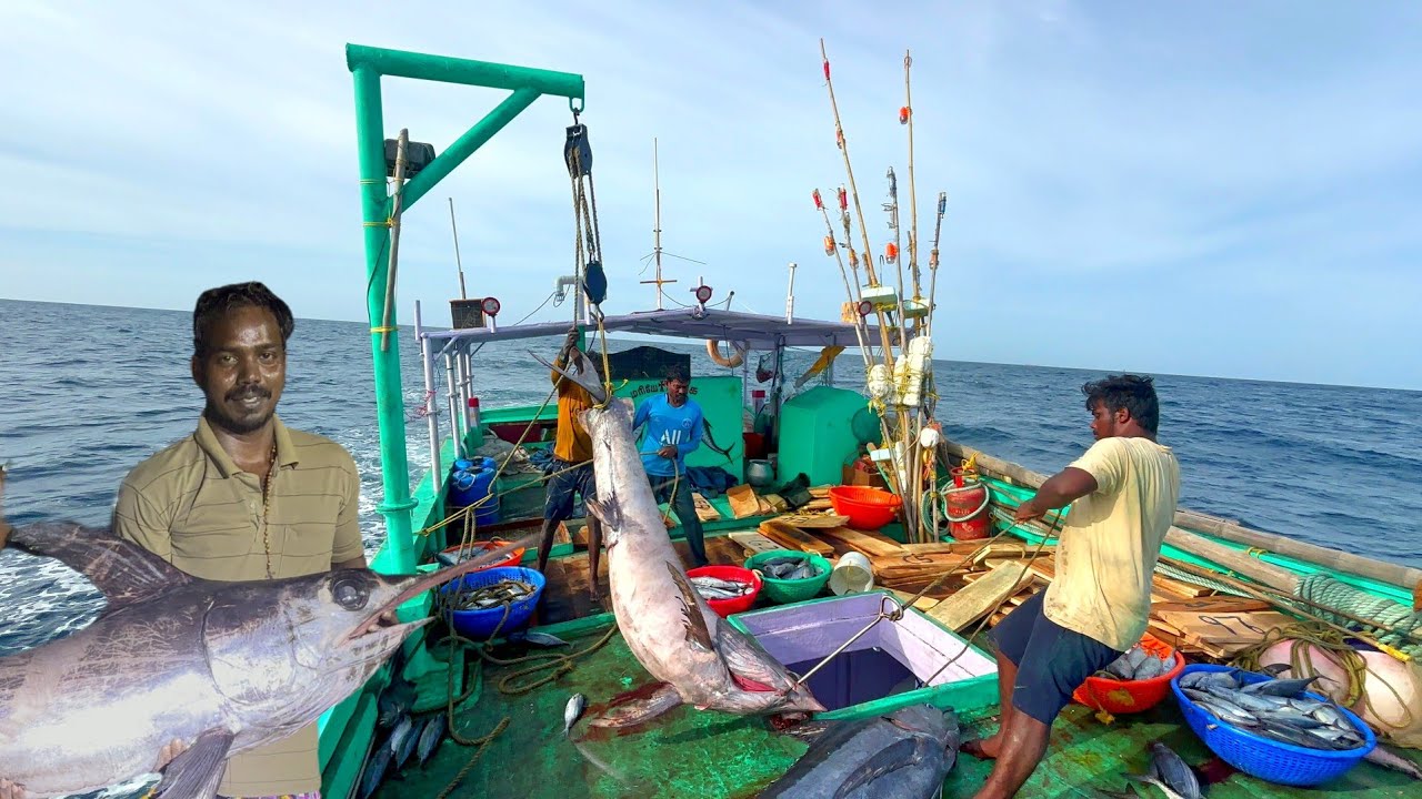 Ohh❗New Boat 💢 First Journey 🤩 Lots of Big Size Fishes Catches in Deep Sea Fishing 