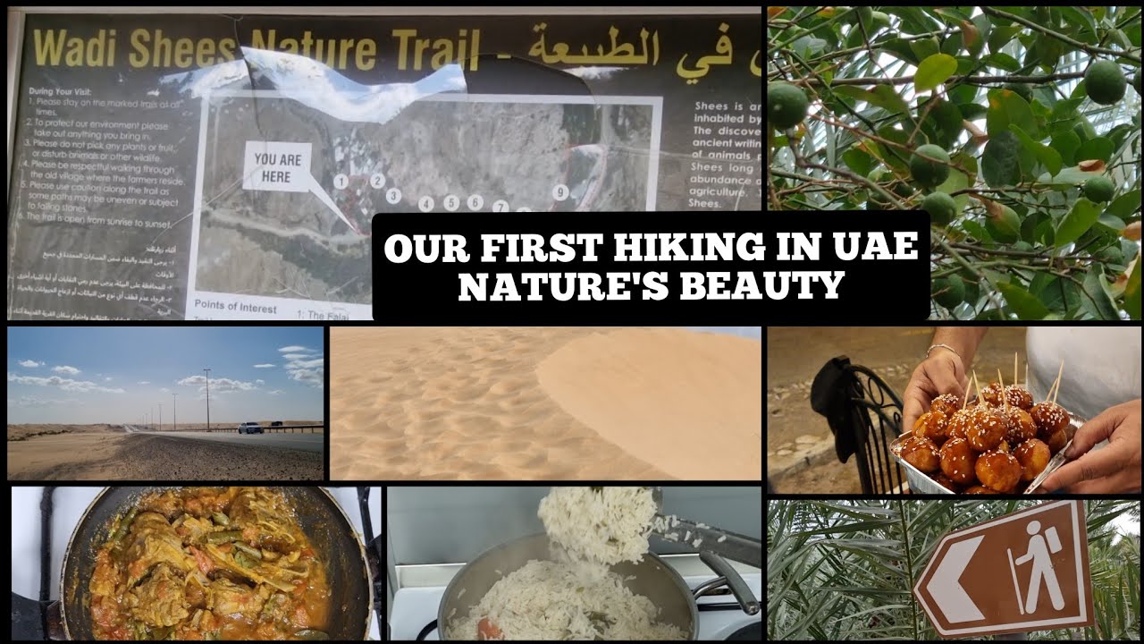 HIKING IN UAE & ARABIC FOOD TASTING VLOG|COCONUT GHEE RICE& MUTTON CHOPS @SimplySouthSamayal