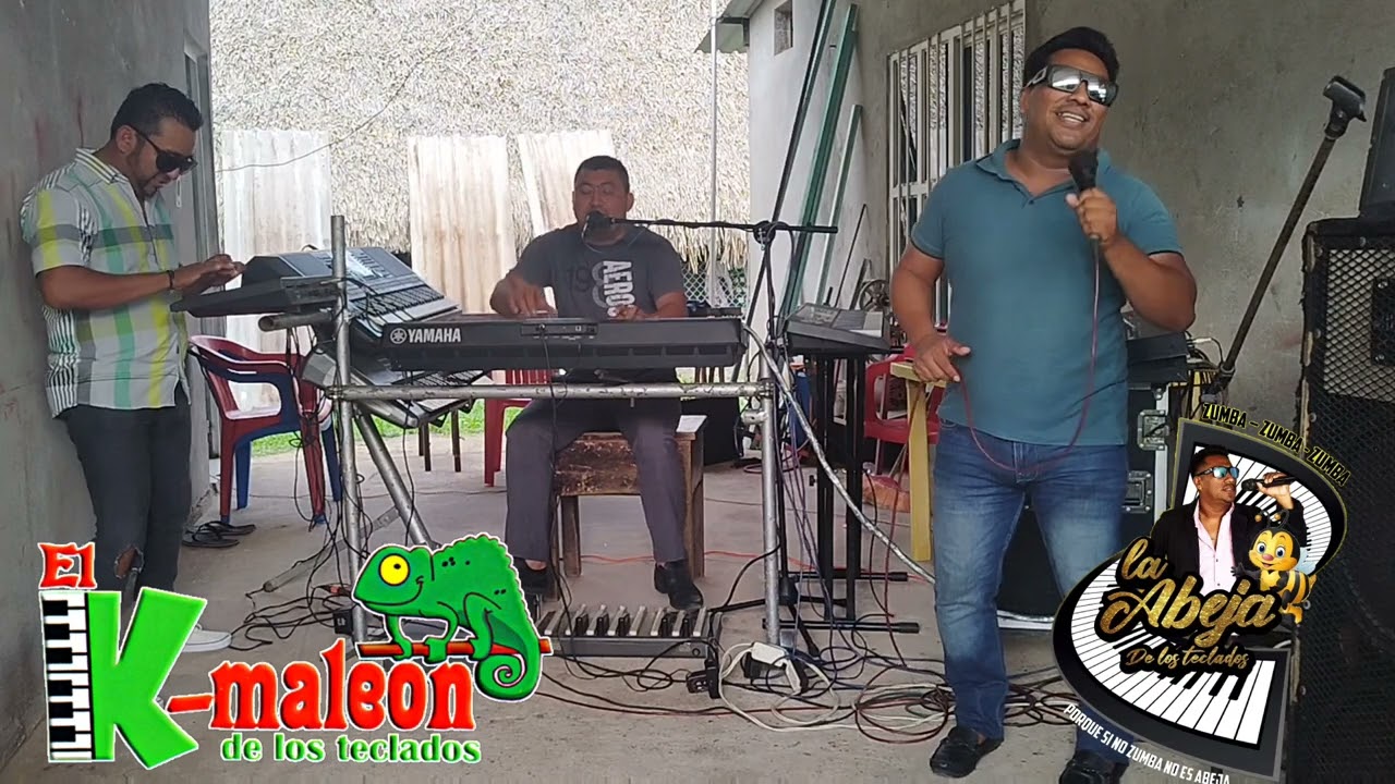 el camaleon de los teclados y la abeja de los teclados... tema agachadita vídeo en vivo
