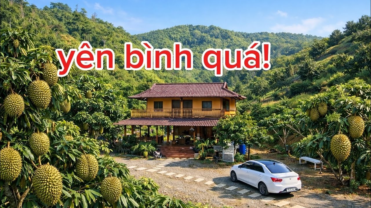 Kẹt tiền ! Chủ bán gấp khu nghỉ dưỡng tuyệt tình cóc núi đồi bao quanh thật yên bình!
