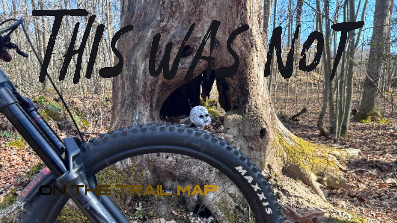 You Won't Believe What We Found Riding Wolf Creek