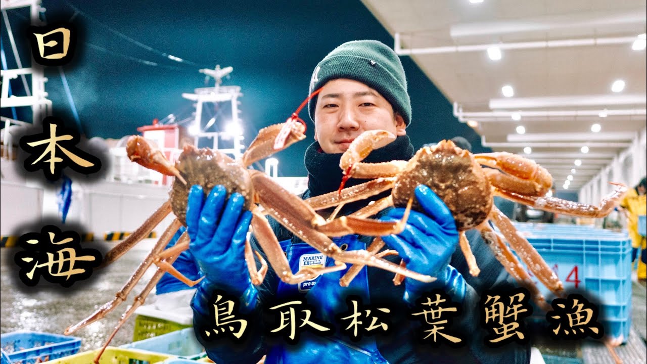 【五輝星】冬の日本海が生む絶品ズワイガニ！ど迫力の松葉ガニ漁！！