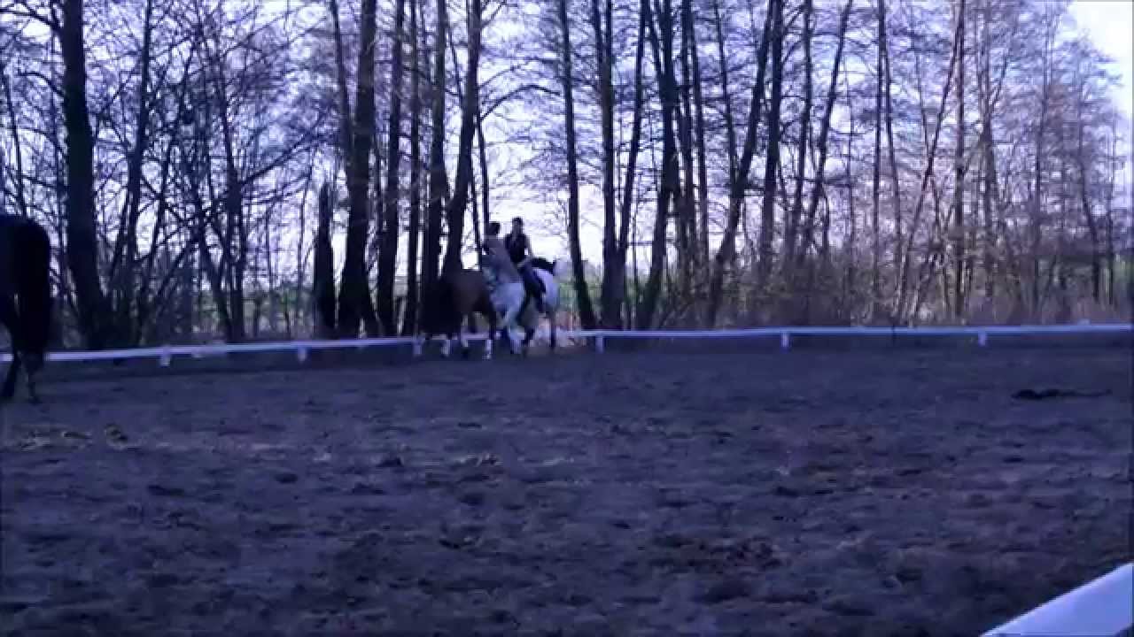 Training bei Myriam,ein bisschen Sitzkorrektur
