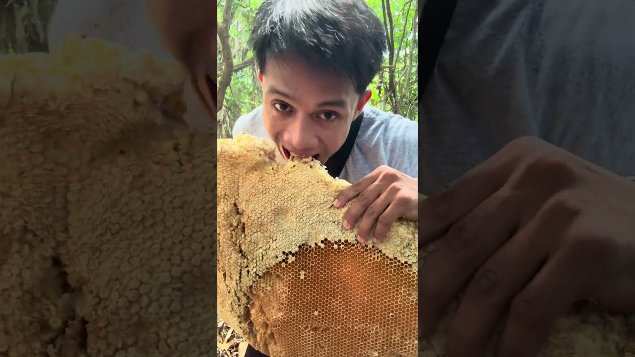 Nagpuwag kami ng pukyutan