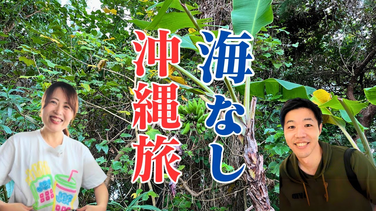 【沖縄旅行】あえてリゾートなしで楽しむ旅｜初ジェフ｜本島北上やんばるドライブ