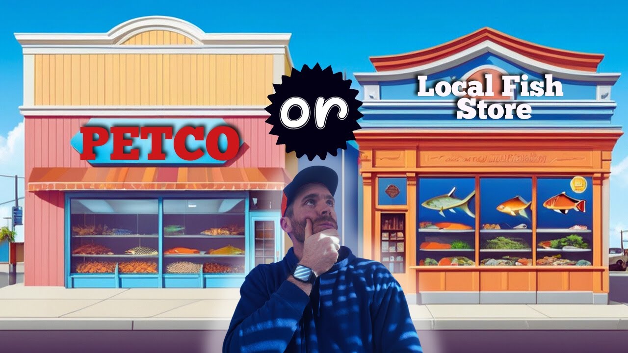 Exclusive Look: Local Fish Stores vs. Petco