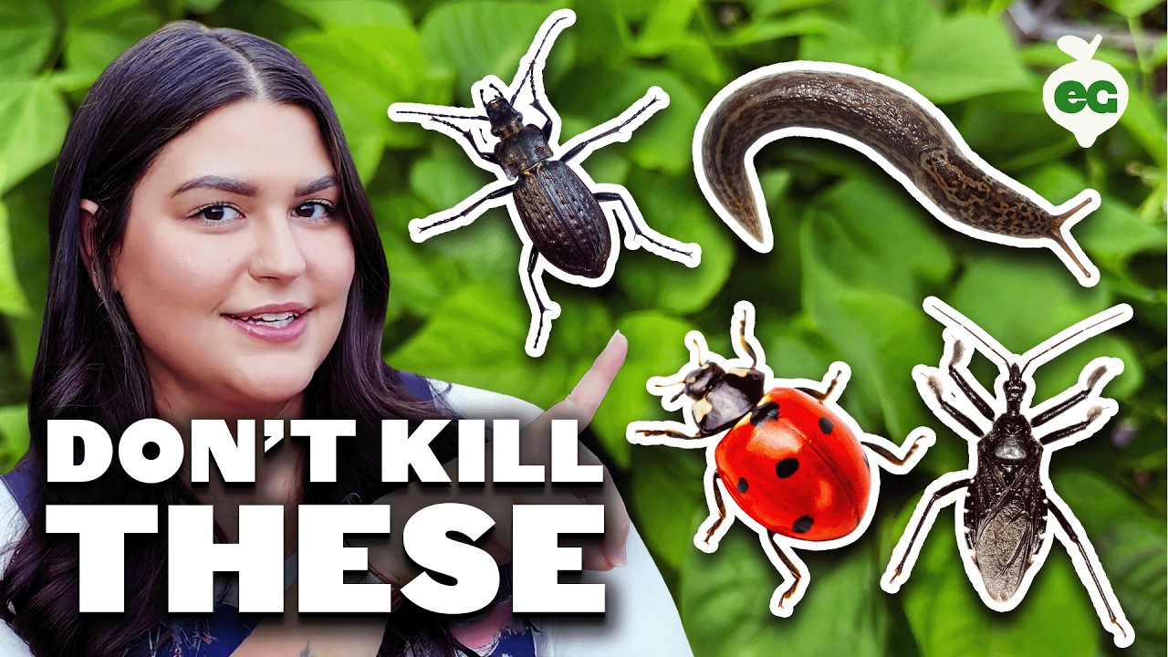 These Bad Bugs LOOK Like Good Bugs...Don't Get Them Confused!