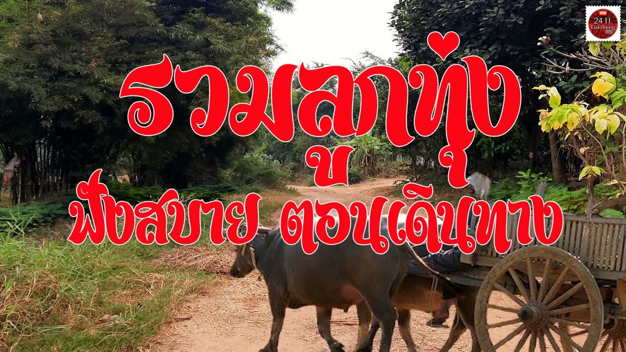 รวมลูกทุ่งฟังสบายตอนเดินทาง #เพลงดัง #รวมเพลง #เพลงเพราะ
