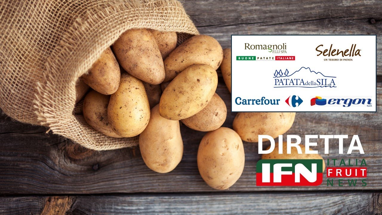 Le patate sotto la lente di IFN