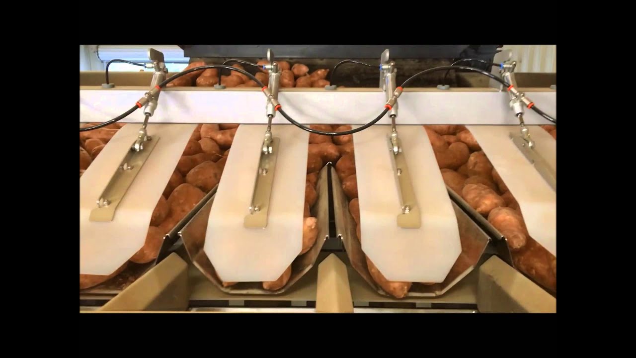 Fox Solutions NEWTEC 4014XB1 2 x FS WB wicket baggers