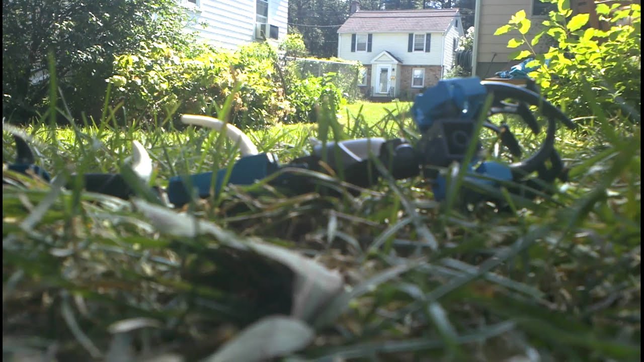 Lego death worm has no shampoo