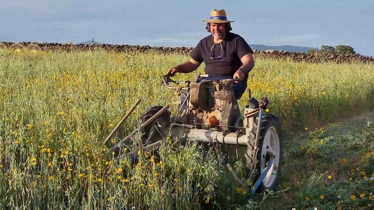 Comenzamos la siega