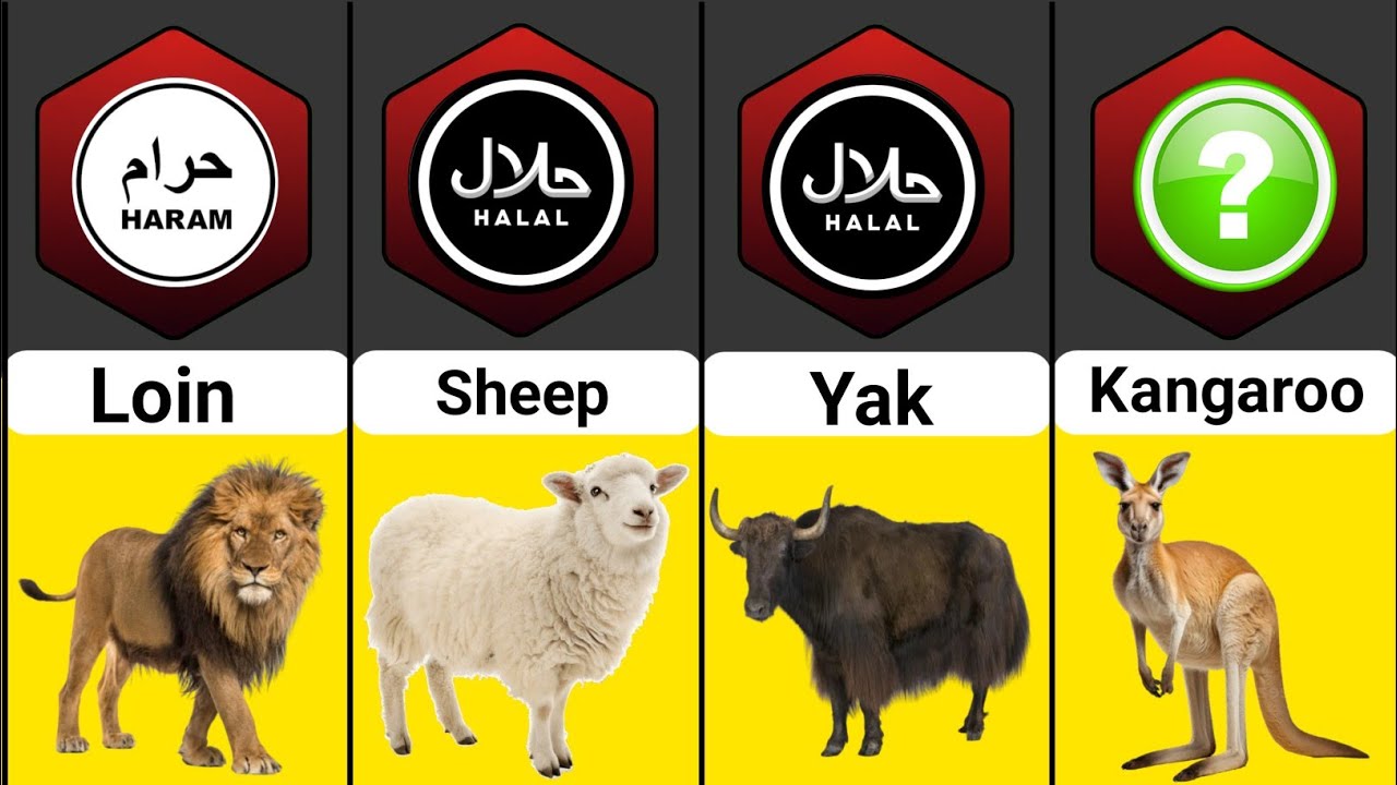 Halal and Haram Animal Meat in Islam