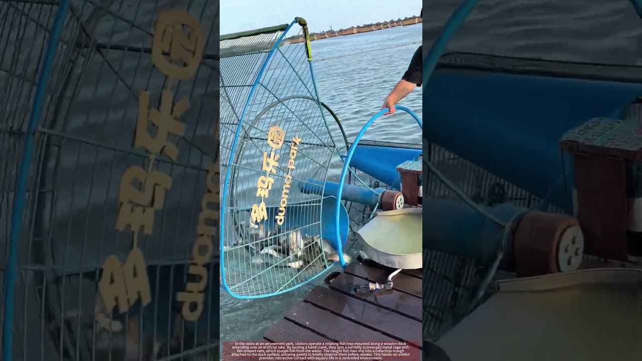 See Park Guests Scoop Fish with Rotating Cage Trap !