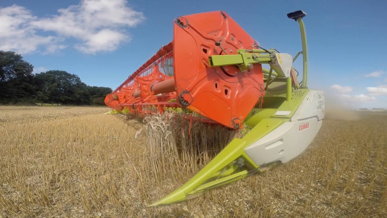 Harvest 2016 - North Yorkshire
