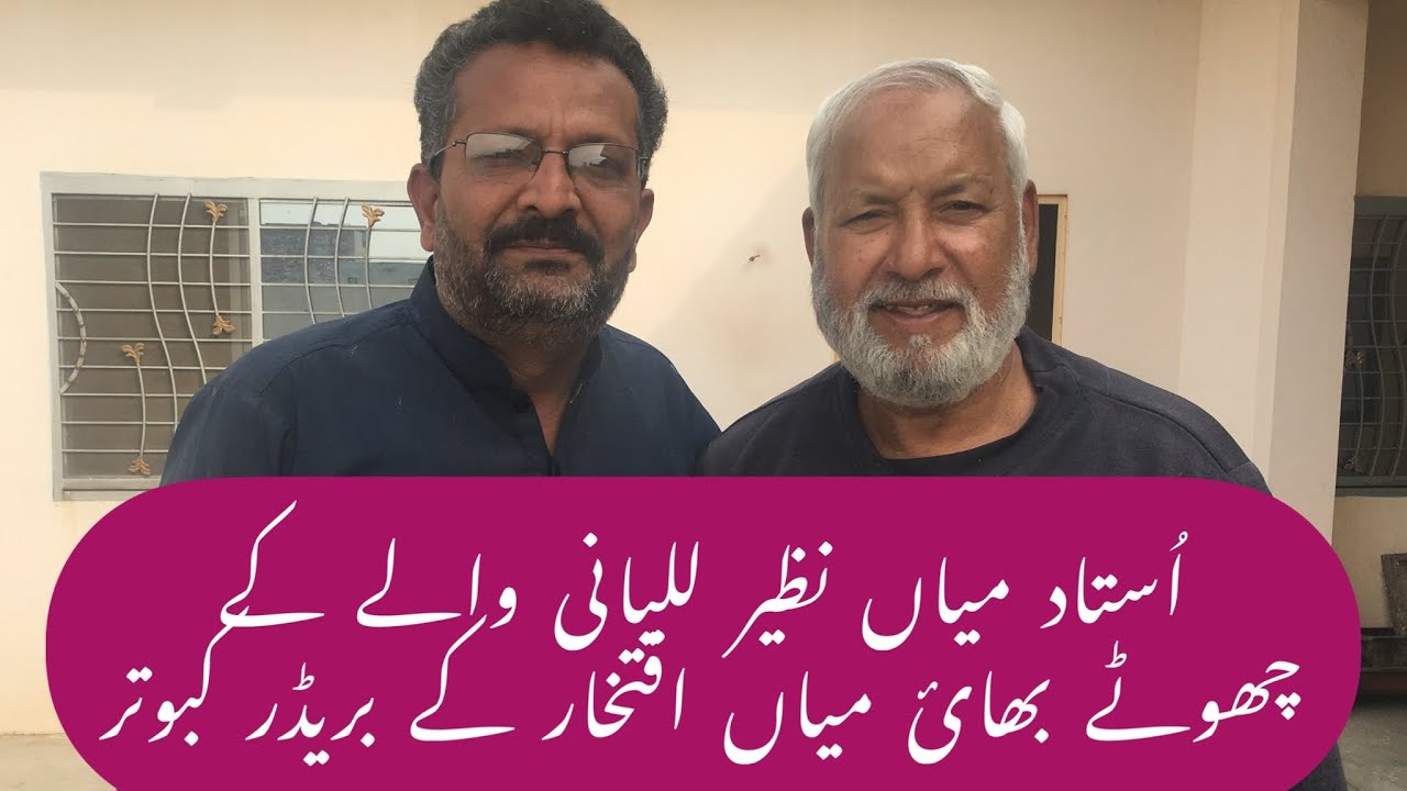 Ustad Mian Iftikhar k breeder kabootar🌺🕊