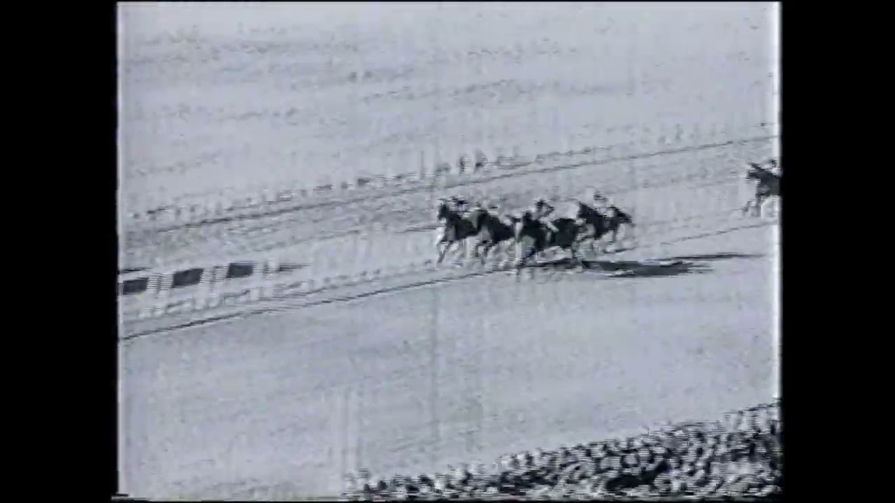 Bernborough - Doomben Cup 2200m Group 1 1946 - Ridden by Athol Mulley 68.5kgs