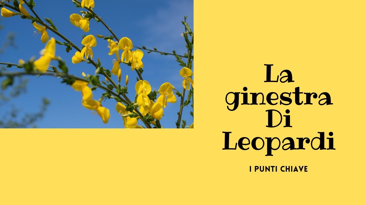La ginestra di Leopardi: riassunto #letteraturaitaliana #studenti#leopardi