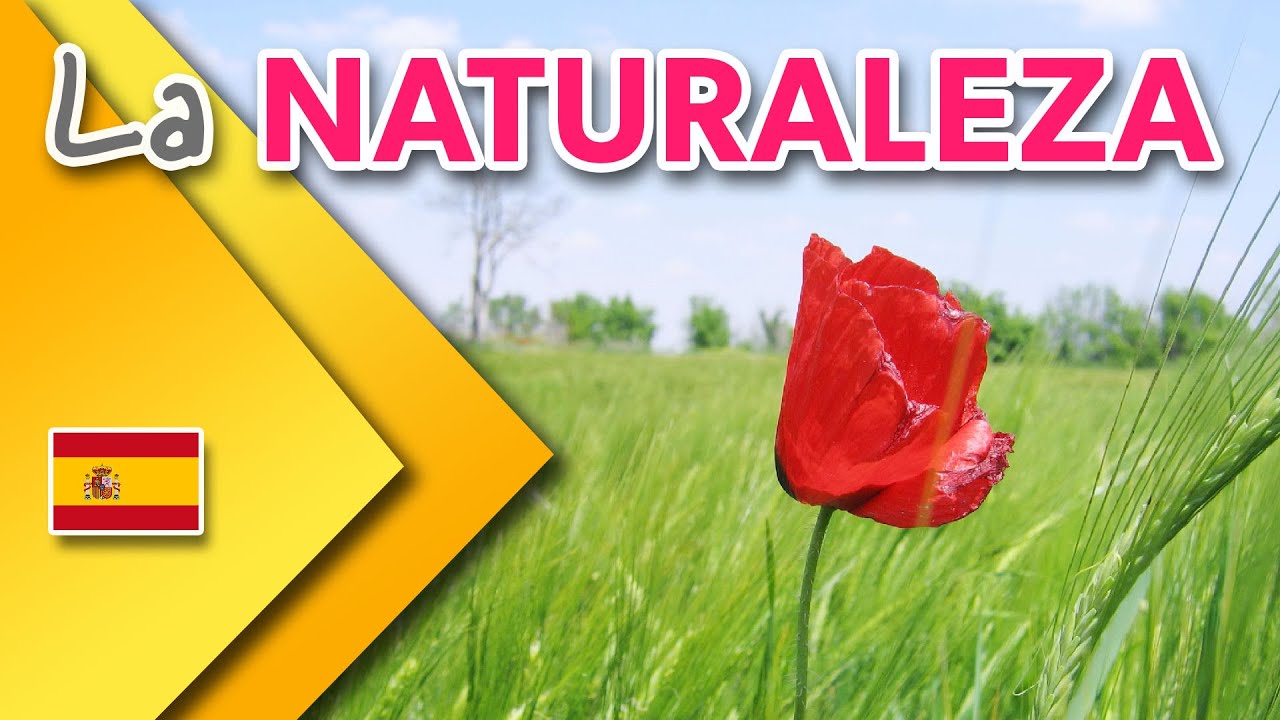 Spanish vocabulary about THE NATURE