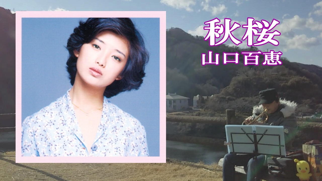 秋桜　山口百恵　코스모스