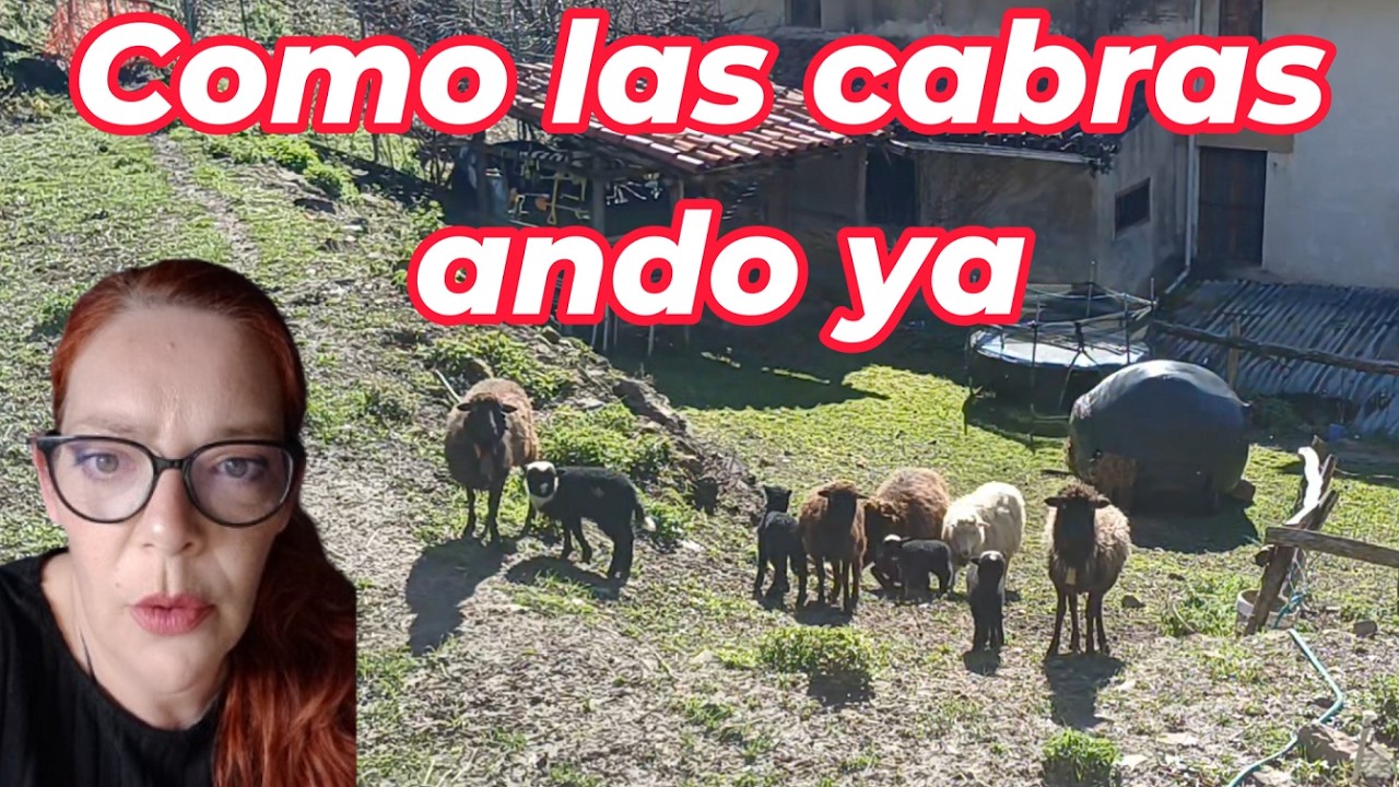 Restaurando una casa de +150 años - Sigo con la entrada 😱  #vidarural #asturias #reformacasarural