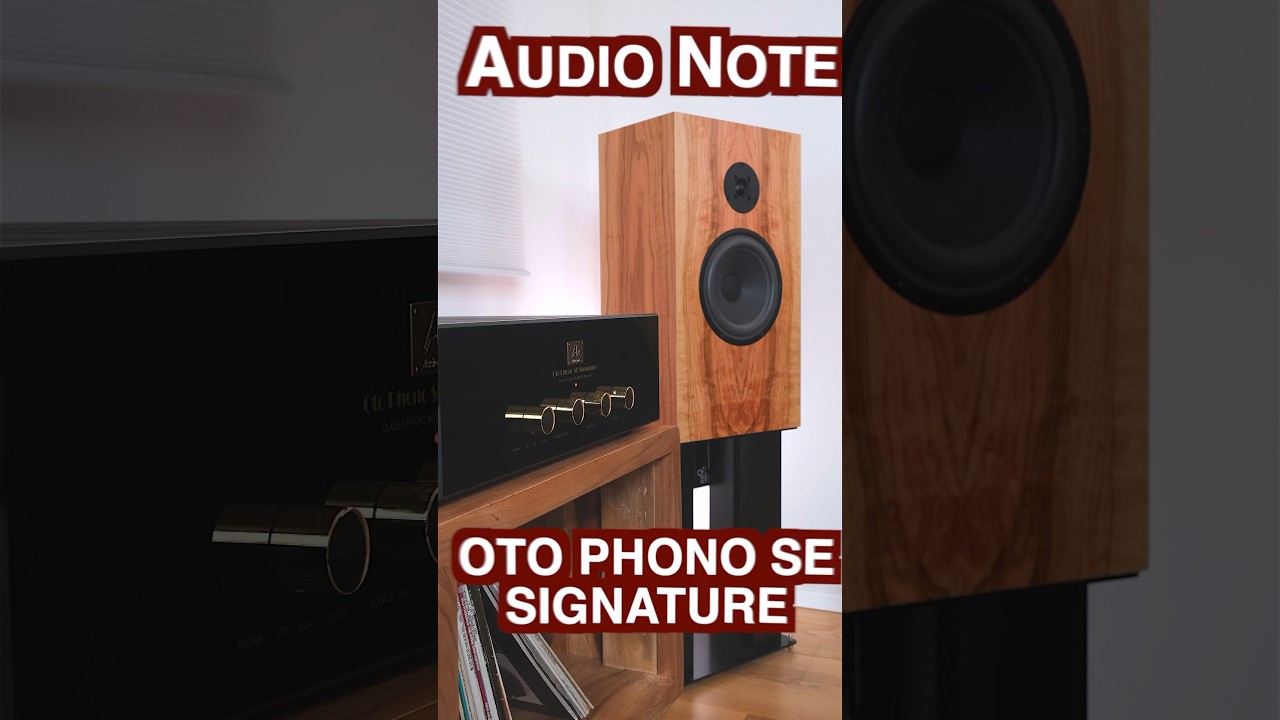 AUDIO NOTE OTO PHONO SE SIGNATURE AMPLIFIER. #audio #hifi #soundtest