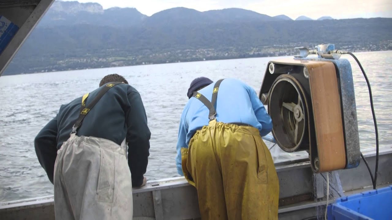 La pêche sur le Lac Léman avec Eric Jacquier