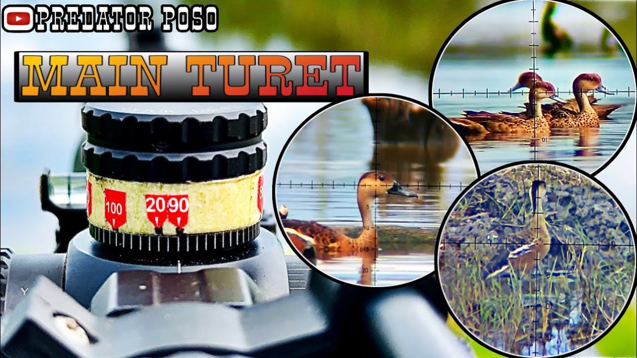 PCP PREDATOR MAIN TURET / HUNTING BELIBIS DI KAWASAN EMPANG KOTA POSO