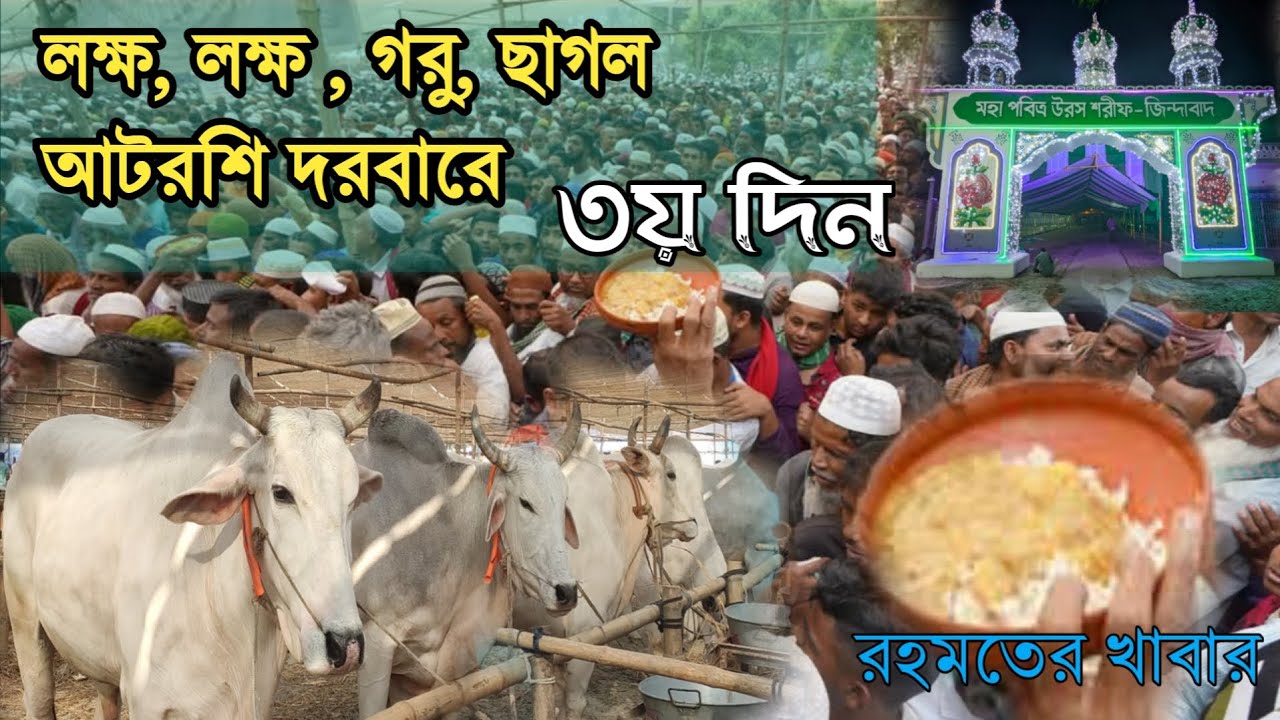 লক্ষ লক্ষ গরু ছাগল ও উট,হরিন আটরশি দরবারে!!মহা পবিত্র বিশ্ব ওরস শরীফ ২০২৫