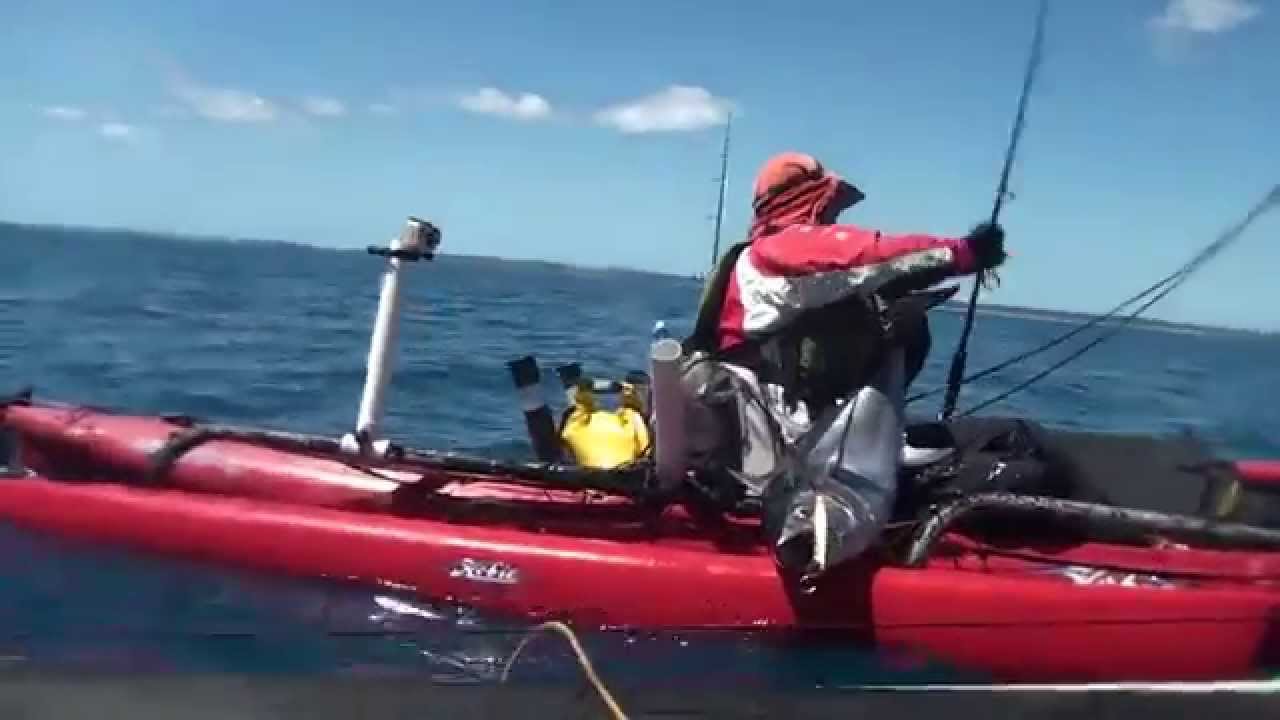 Fraser Island Dreams