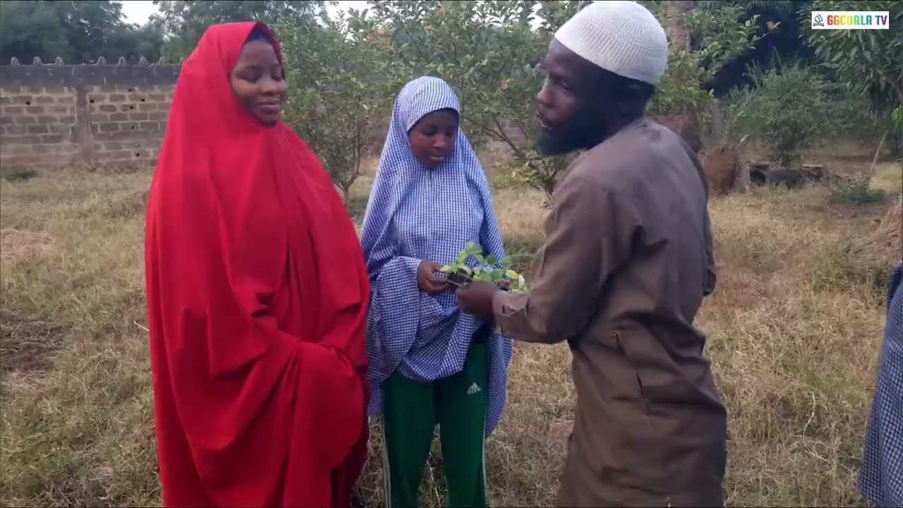 Harvest of Hope: A documentary by GGC Dala Young Farmers 
