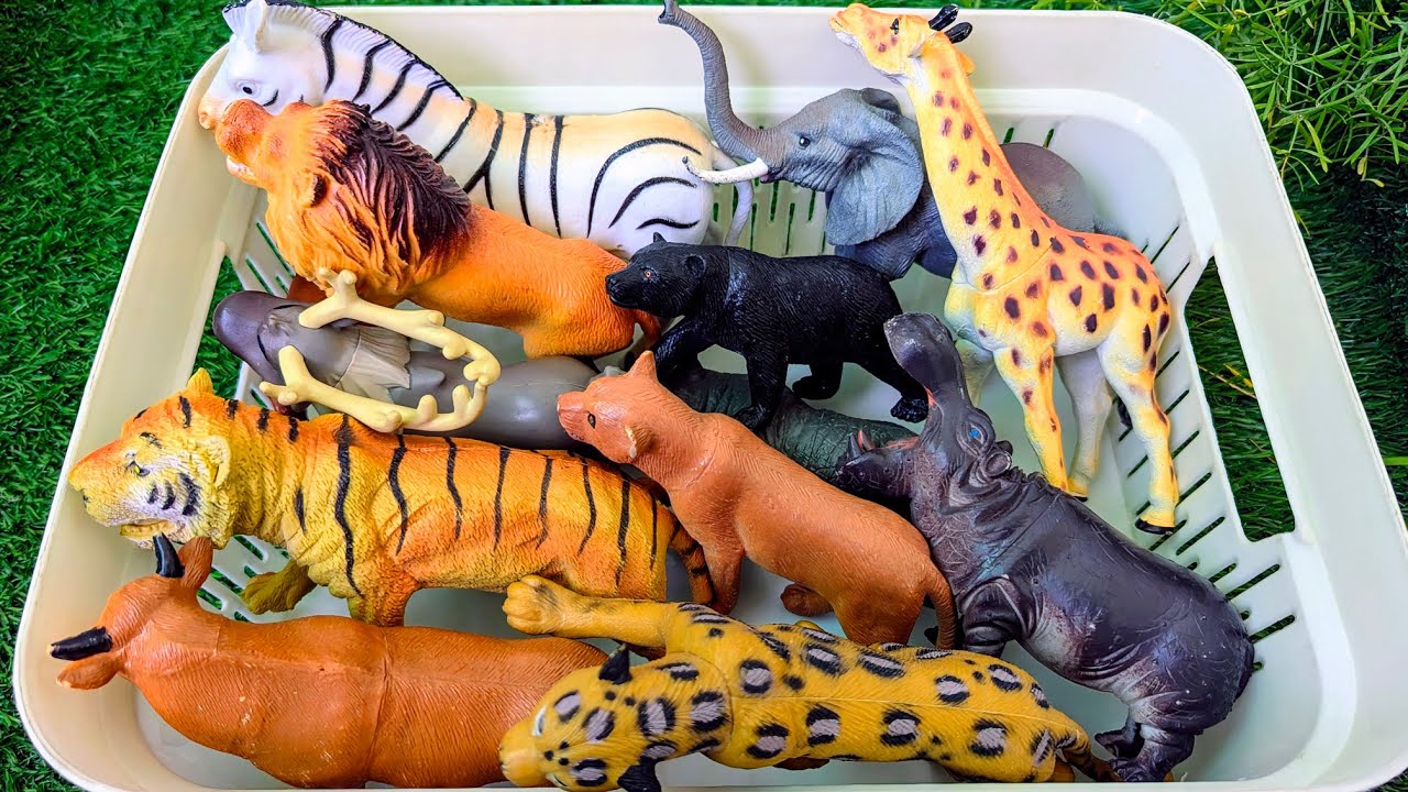Wild Zoo Animals for Kids | Learn Animal Names in English for Preschoolers | Fun Educational Video