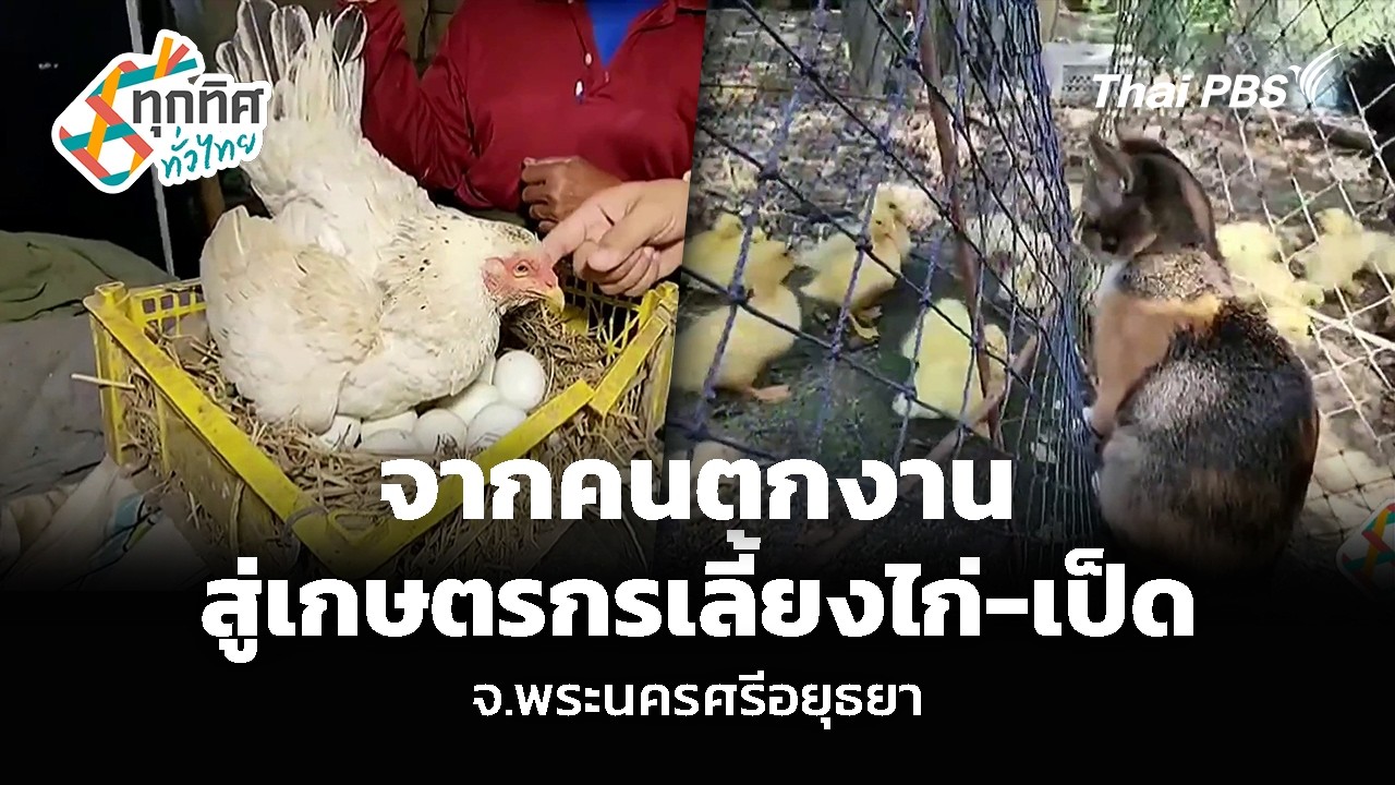 จากคนตกงาน สู่เกษตรกรเลี้ยงไก่-เป็ด จ.พระนครศรีอยุธยา | ทุกทิศทั่วไทย | 21 ก.พ. 69