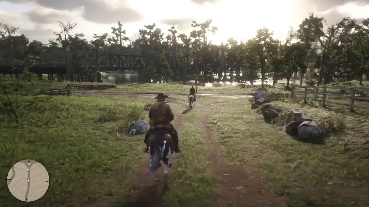An Idiot plays RED DEAD REDEMPTION 2 (part 2)
