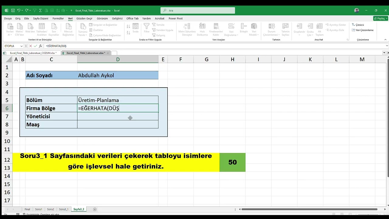 Excel Final Tibbi Laboratuar xlsx   Excel 2026 01 18 17 26 54