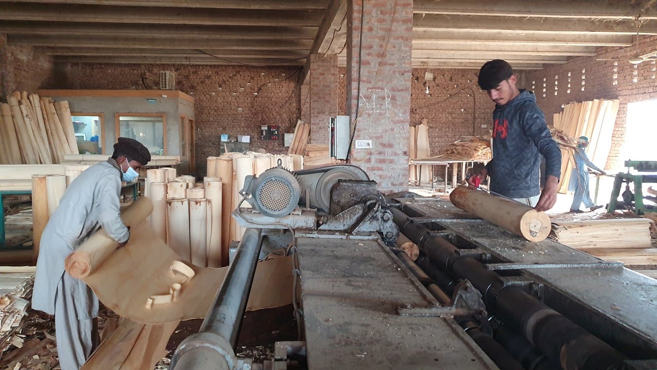 Laminated Veneer Lumber Making Process in Sawmill | LVL Plywood