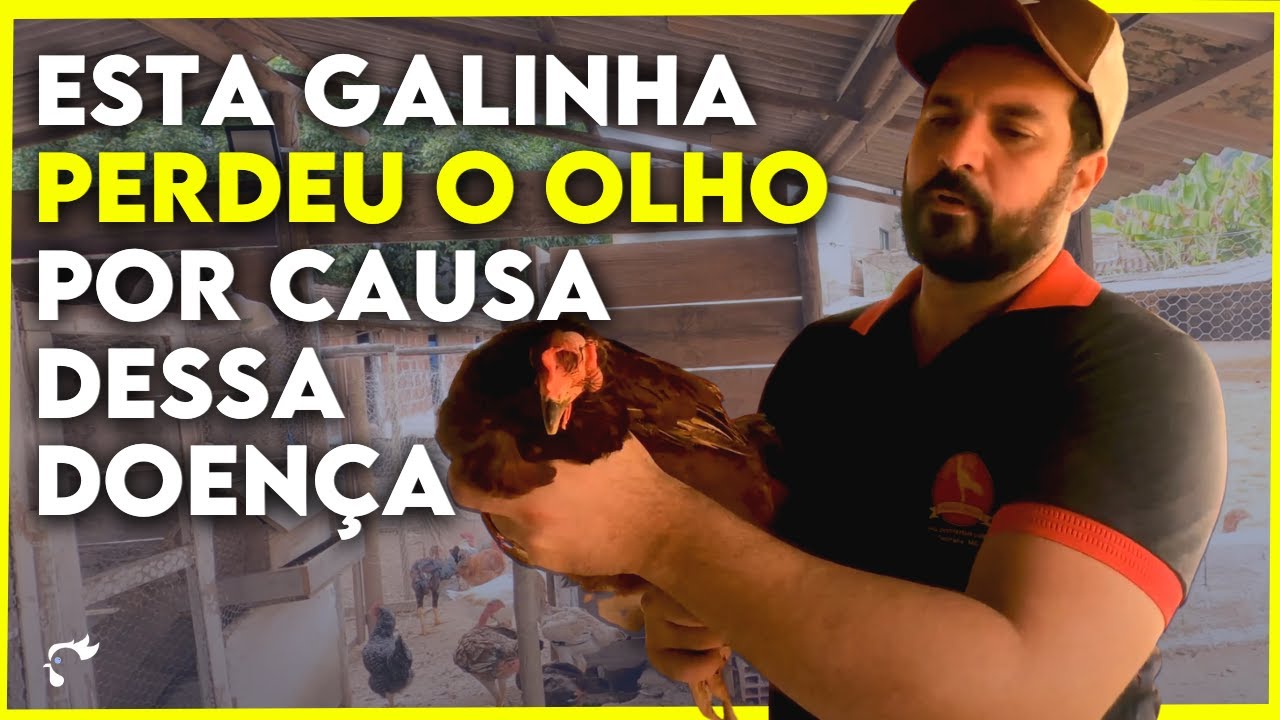Guia Completo sobre CORIZA INFECCIOSA: como prevenir e tratar.