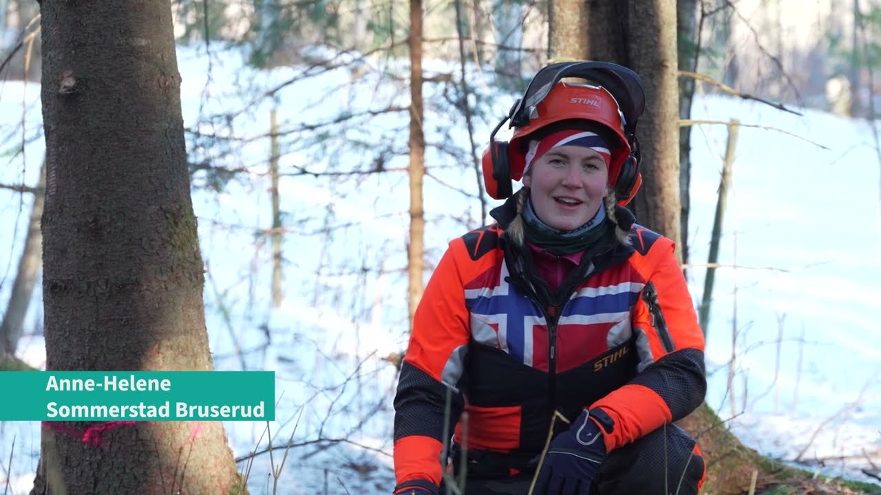 Hvordan tevle motorsag - felling