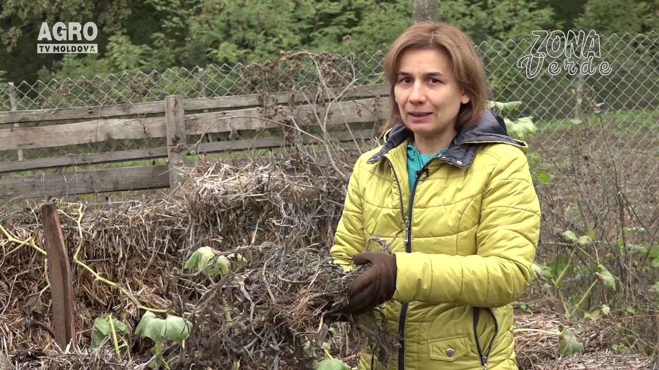 Zona Verde-transformarea frunzelor în compost pas cu pas