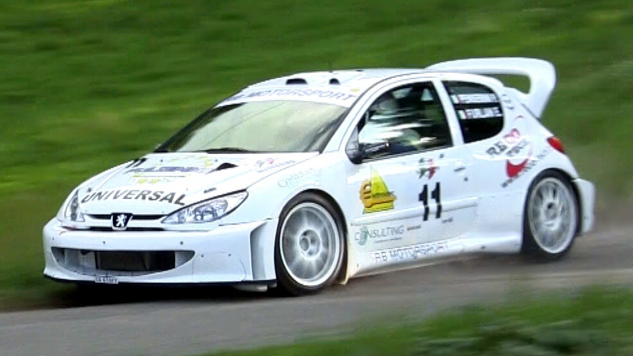 Peugeot 206 WRC Tribute - Sound & Loud Anti-Lag
