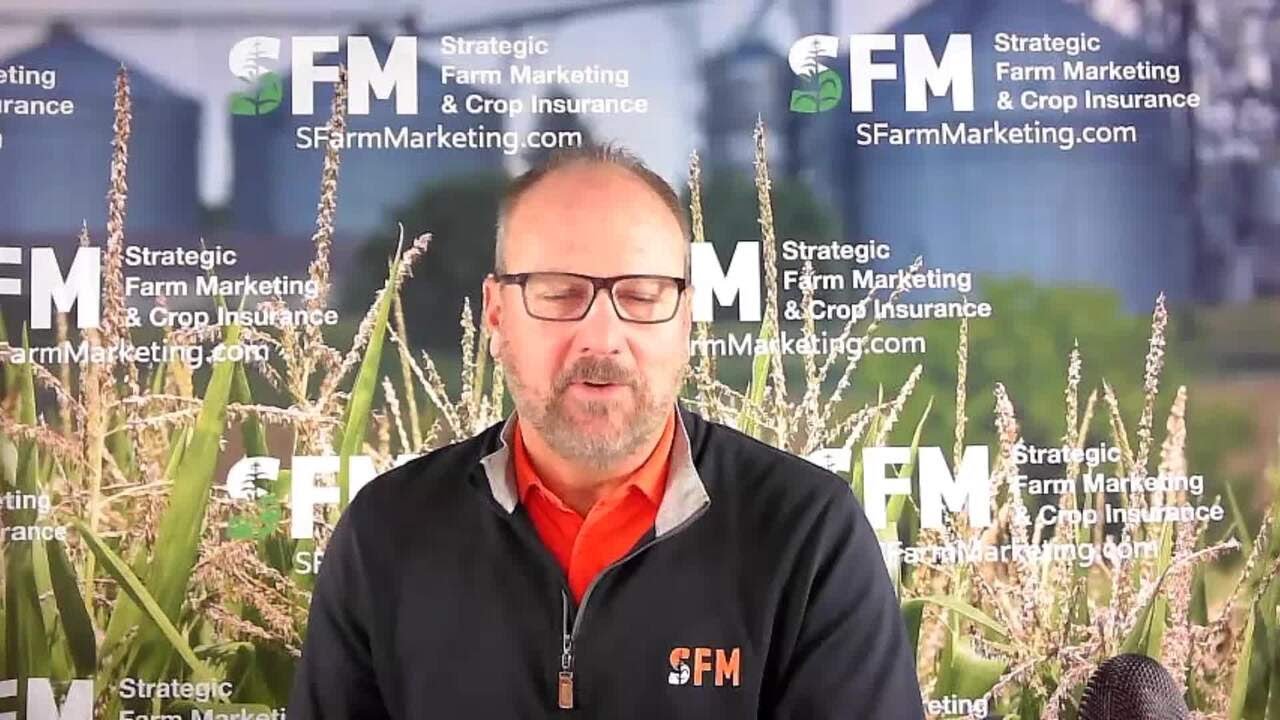 Grains Fall, Cattle Markets Go Limit Down Monday