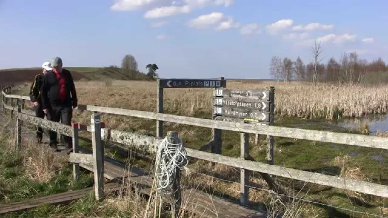 Hornborgasjön, promenader och tranor, Vandringstips