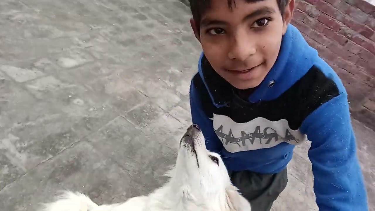ਰਮਨ ਤੇ ਸੈਫੀ ਦੀ ਮਸਤੀ