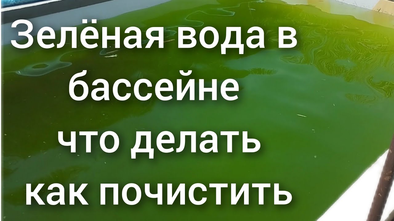 Зелёная грязная вода в бассейне не беда как почистить каким средством.